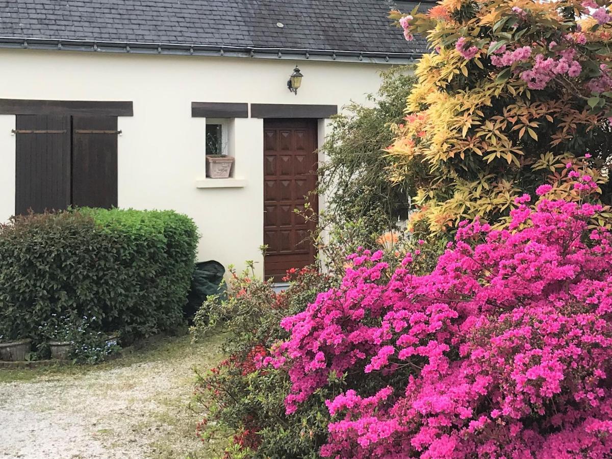Villa Ti Cairn Moëlan-sur-Mer Exterior foto